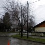 DSCN0787.JPG