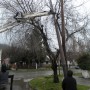 DSCN0788.JPG